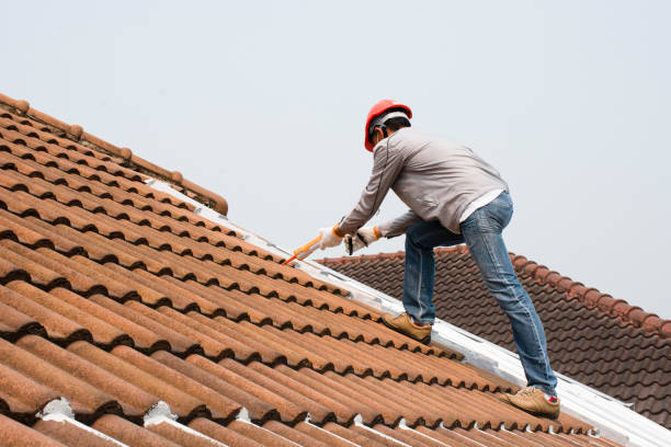 Best Sheet Metal Roofing  in Towamensing Trails, PA